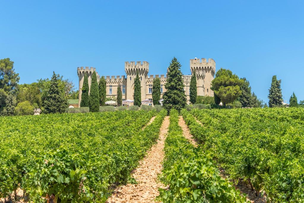 Hostellerie Du Chateau Des Fines Roches Châteauneuf-du-Pape Exterior foto